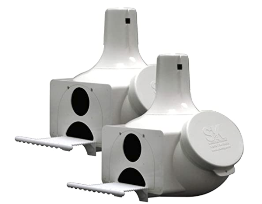 Purple Martin Set of 2 Gourds